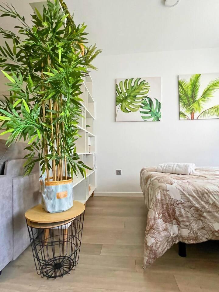 Home4U Apartamento Con Cochera Granada Eksteriør billede